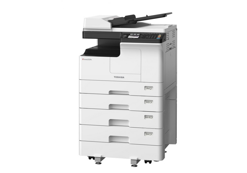 4 eS2329A RADF 4cst L AB NBG low res