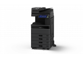 eS5525AC DSDF 4cst L